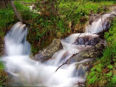 DSC_3207.jpg