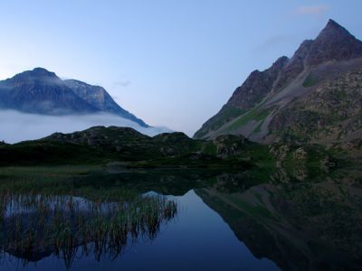 DSC_3334.jpg