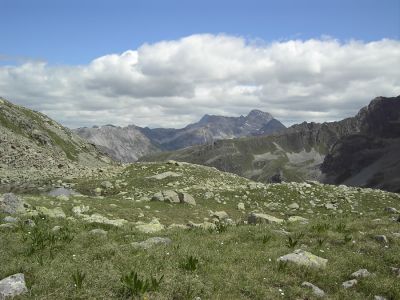 PICT0281.jpg
