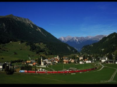 BILD0183.jpg