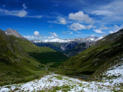 DSC_3704.jpg