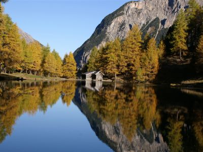 Palpuogna_Herbst_05.jpg