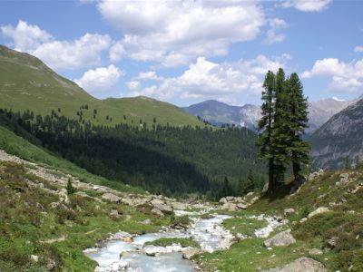 Bild72 130.jpg