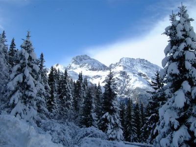 DSCF0061.jpg